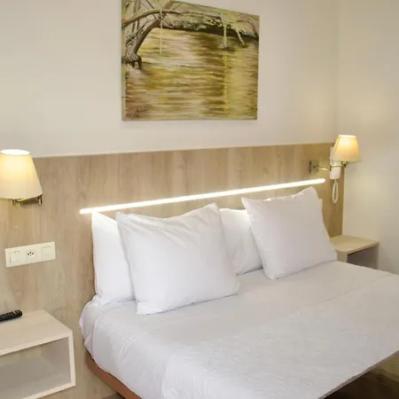 Hotel Playa De *